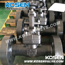 Forged Steel Integral Flanged Globe Valves